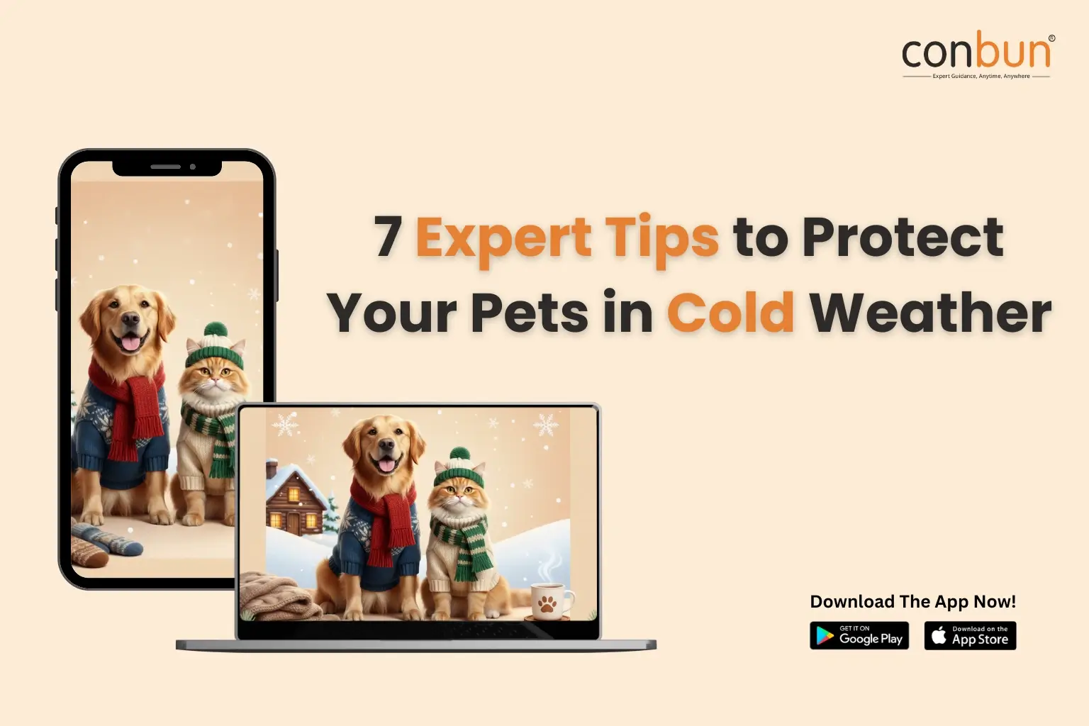 7 Expert Tips to Protect Your Pets in Cold Weather