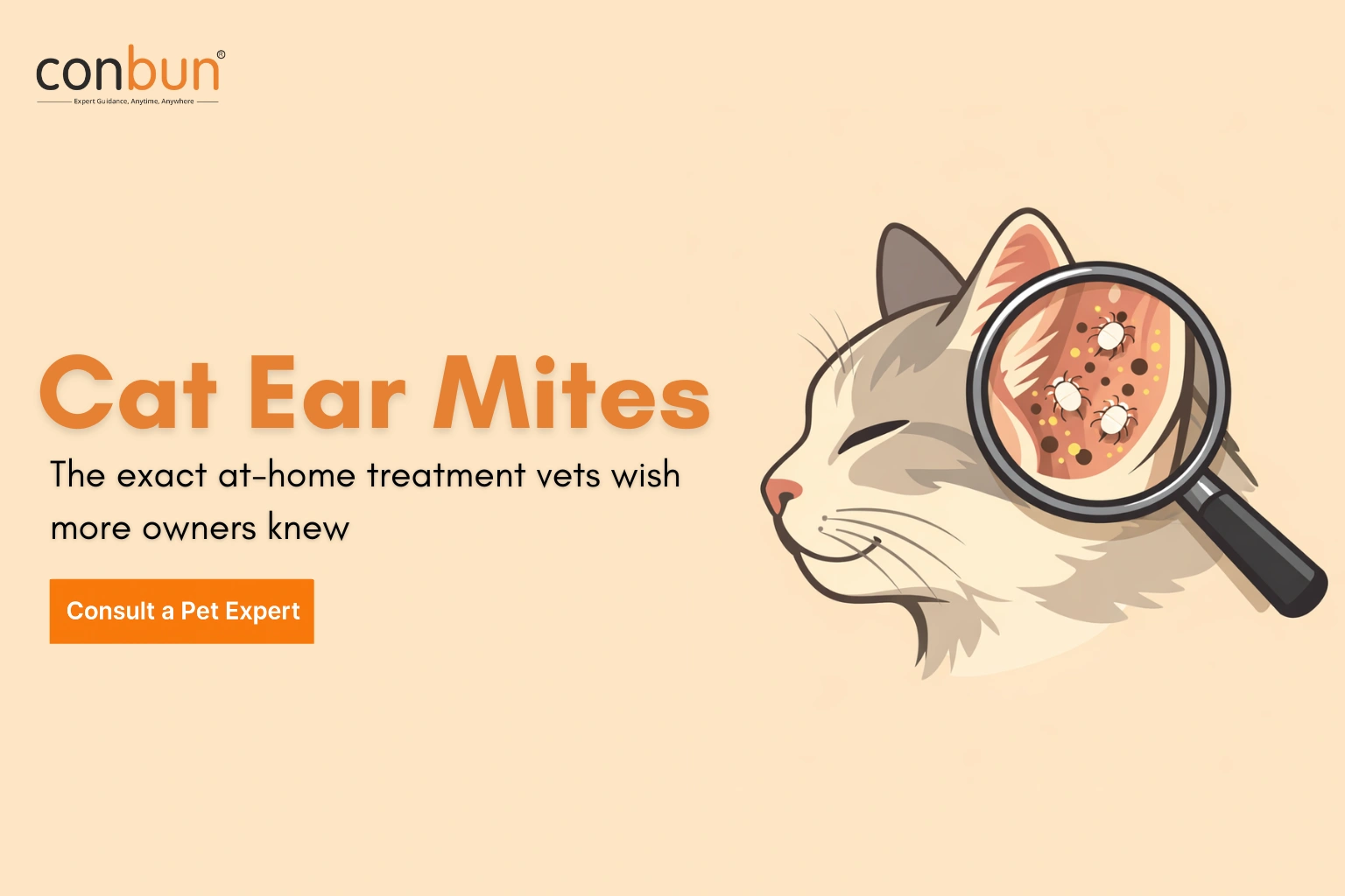 Cat Ear Mites: The Exact At-Home Treatment Vets Wish More Owners Knew