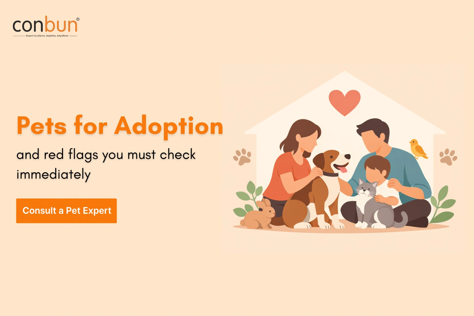 Pets for Adoption: How to Find the Right Pet for Your Home? (Complete Guide)