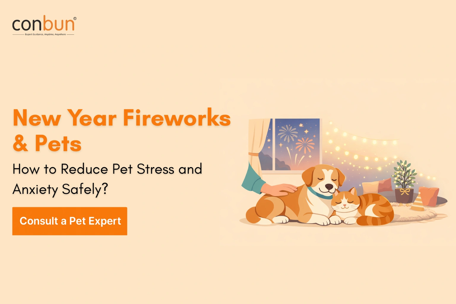 New Year Fireworks & Pets: How to Reduce Pet Stress and Anxiety Safely