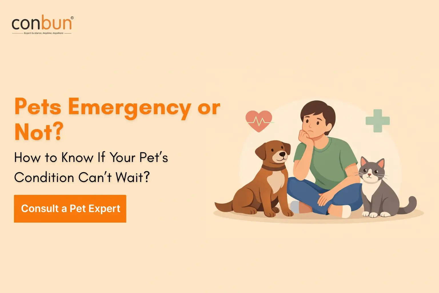 Pets Emergency or Not? How to Know If Your Petâs Condition Canât Wait