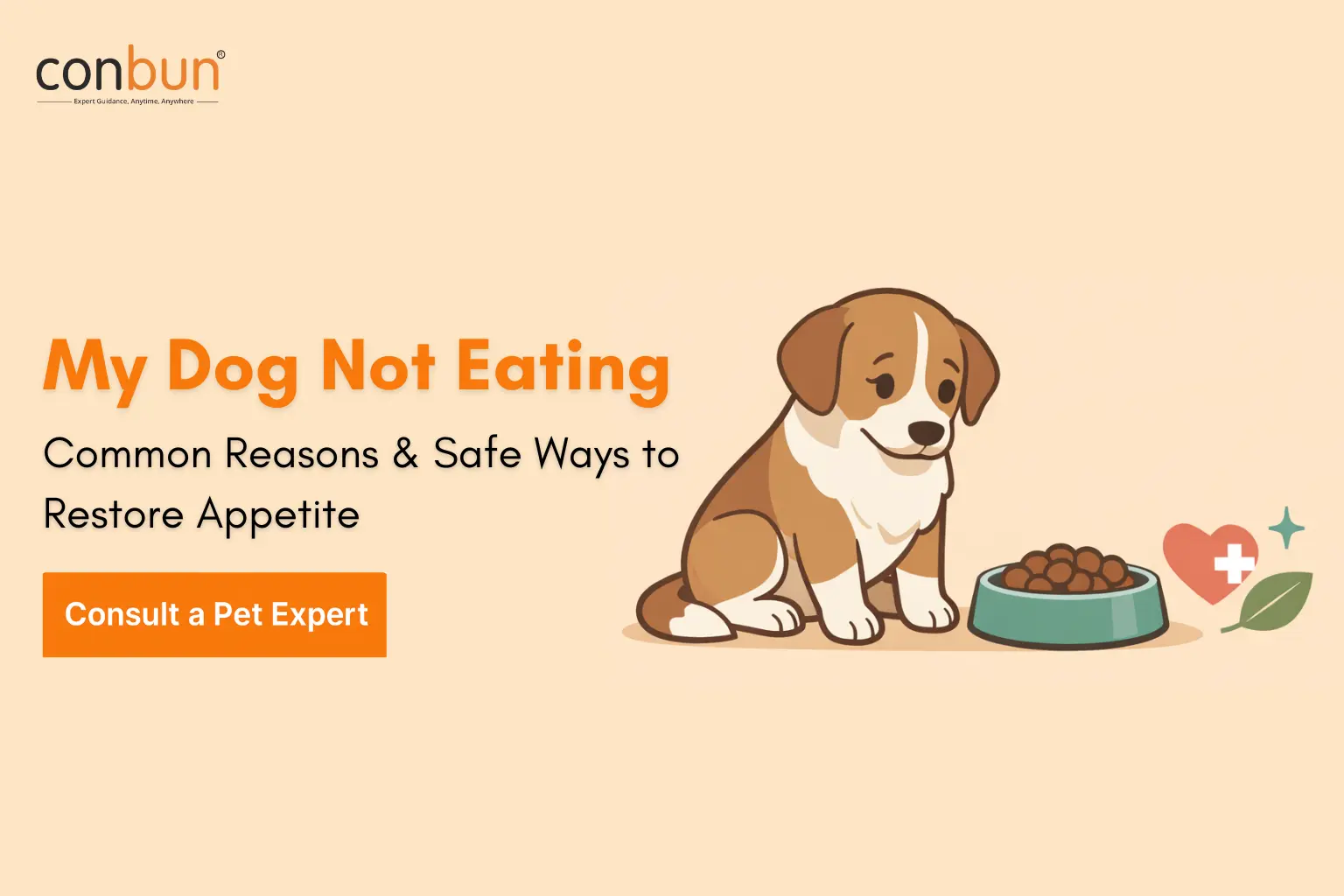 My Dog Not Eating? Common Reasons, Scenarios & Fast Home Remedies