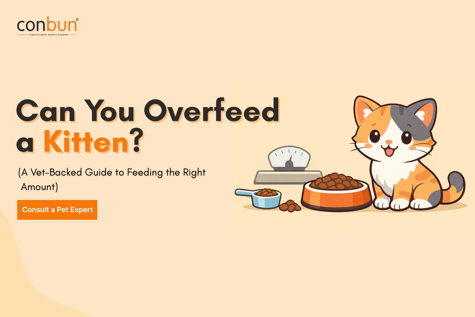 Can You Overfeed a Kitten? A Vet-Backed Guide to Feeding the Right Amount