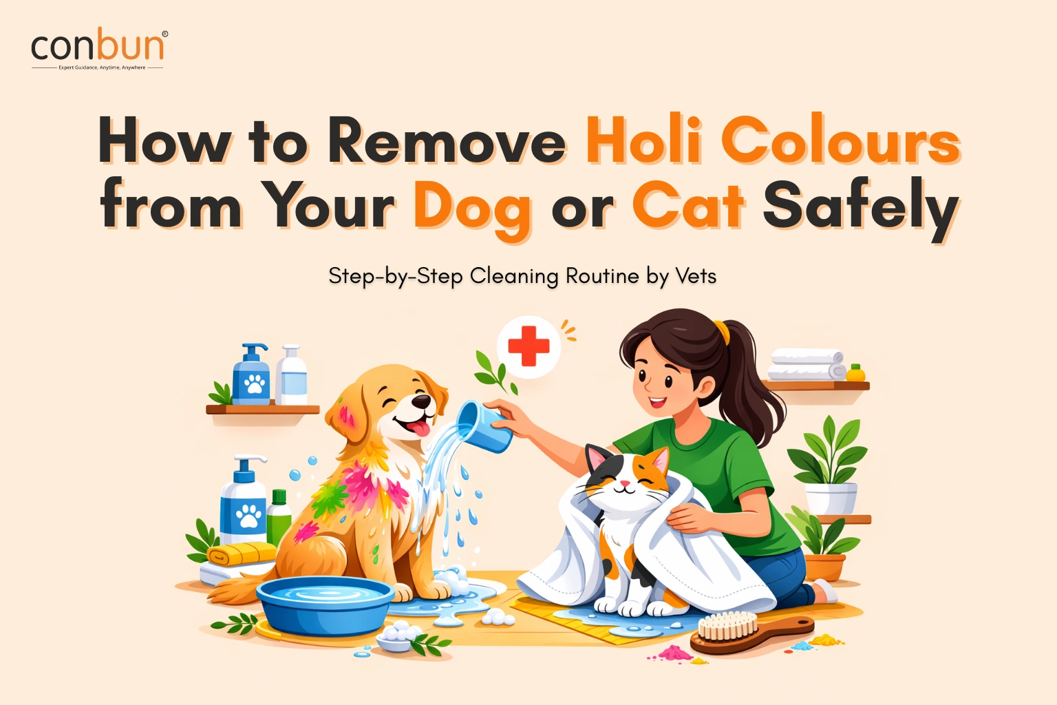 How to Remove Holi Colours from Pets Safely