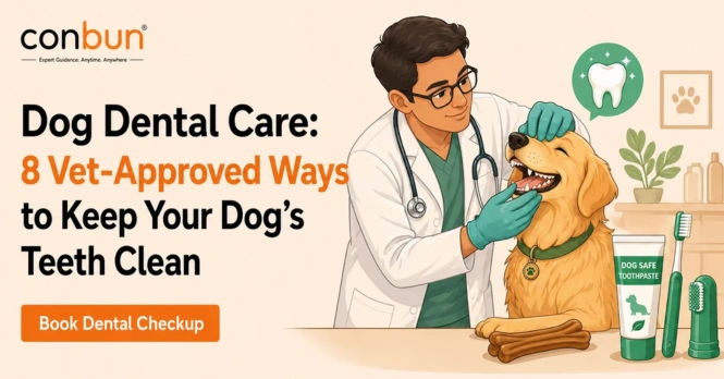 Dog Dental Care: 8 Vet-Approved Ways to Keep Your Dog's Teeth Clean