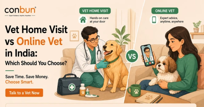 Vet Home Visit vs Online Vet in India: Which Should You Choose?