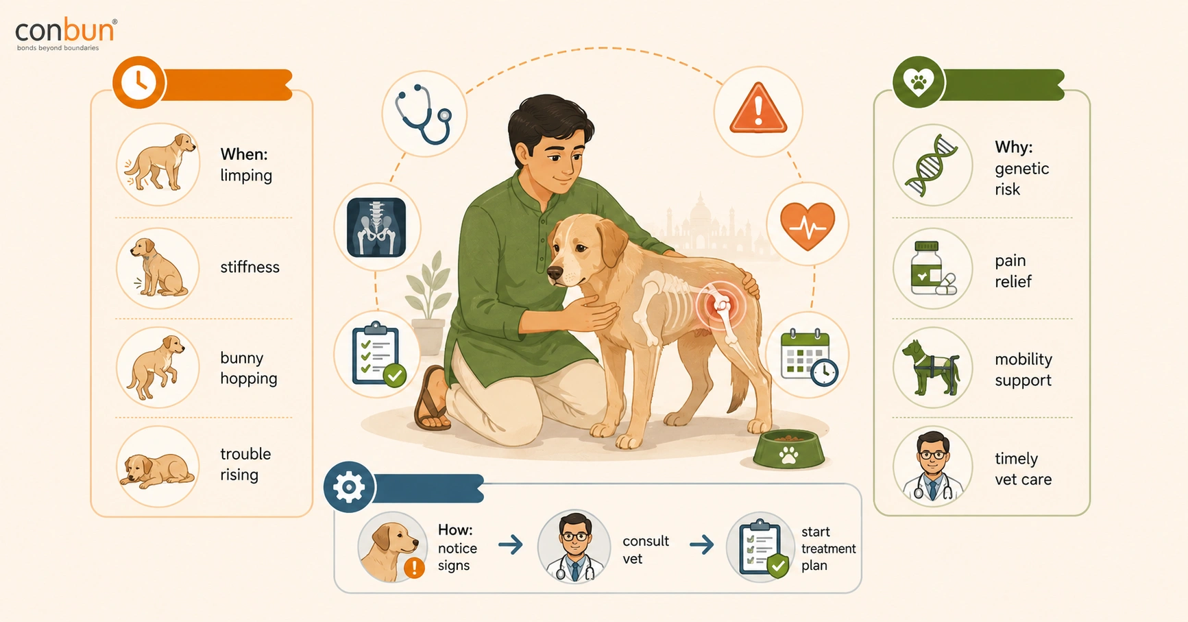 Hip Dysplasia in Indian Dogs: Breeds at Risk & Treatment Options