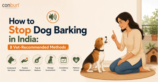 How to Stop Dog Barking in India: 8 Vet-Recommended Methods