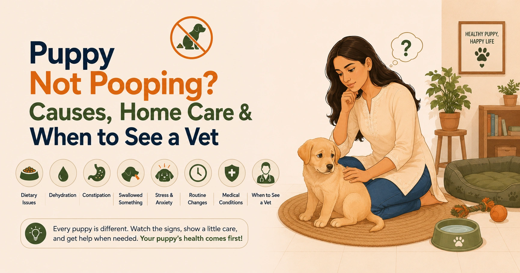 Puppy Not Pooping - Is It Normal? What To Do
